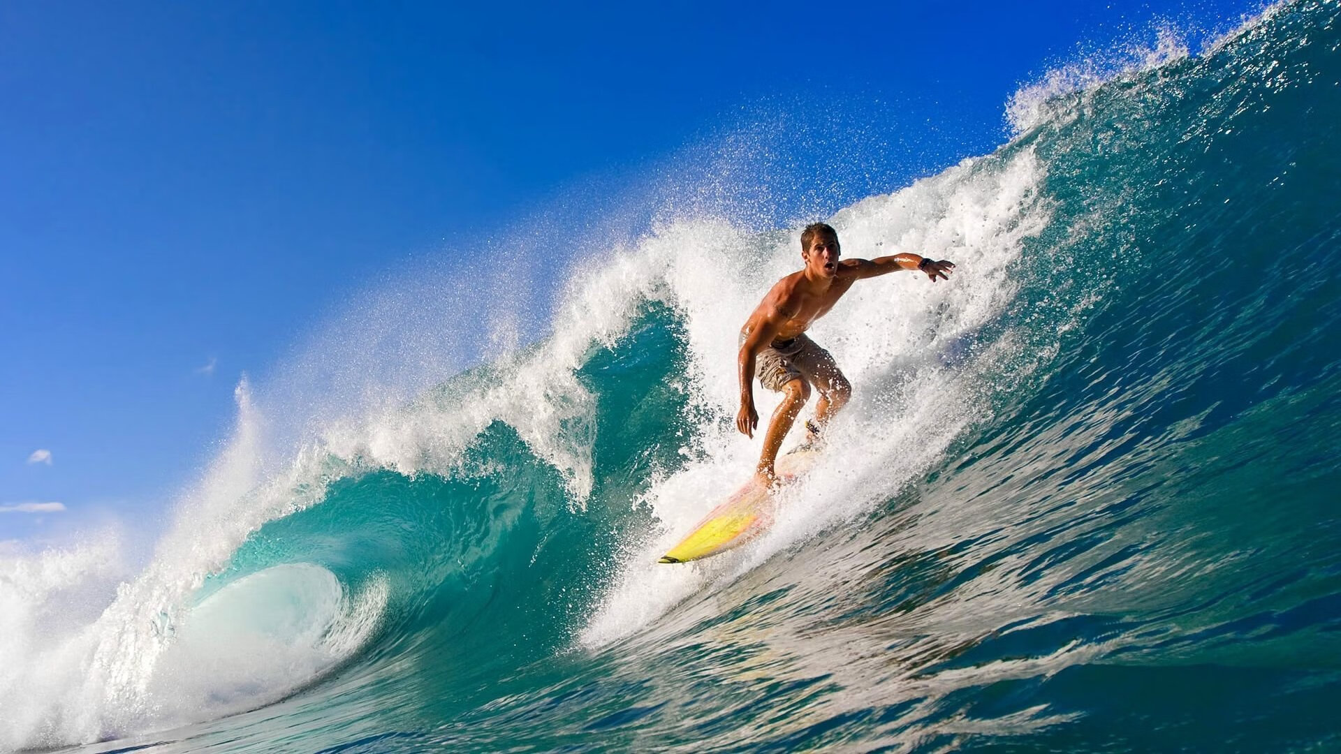 “尼古拉斯·桑特基的快速突破与精准配合，推动美洲狮队成为新一代强队”