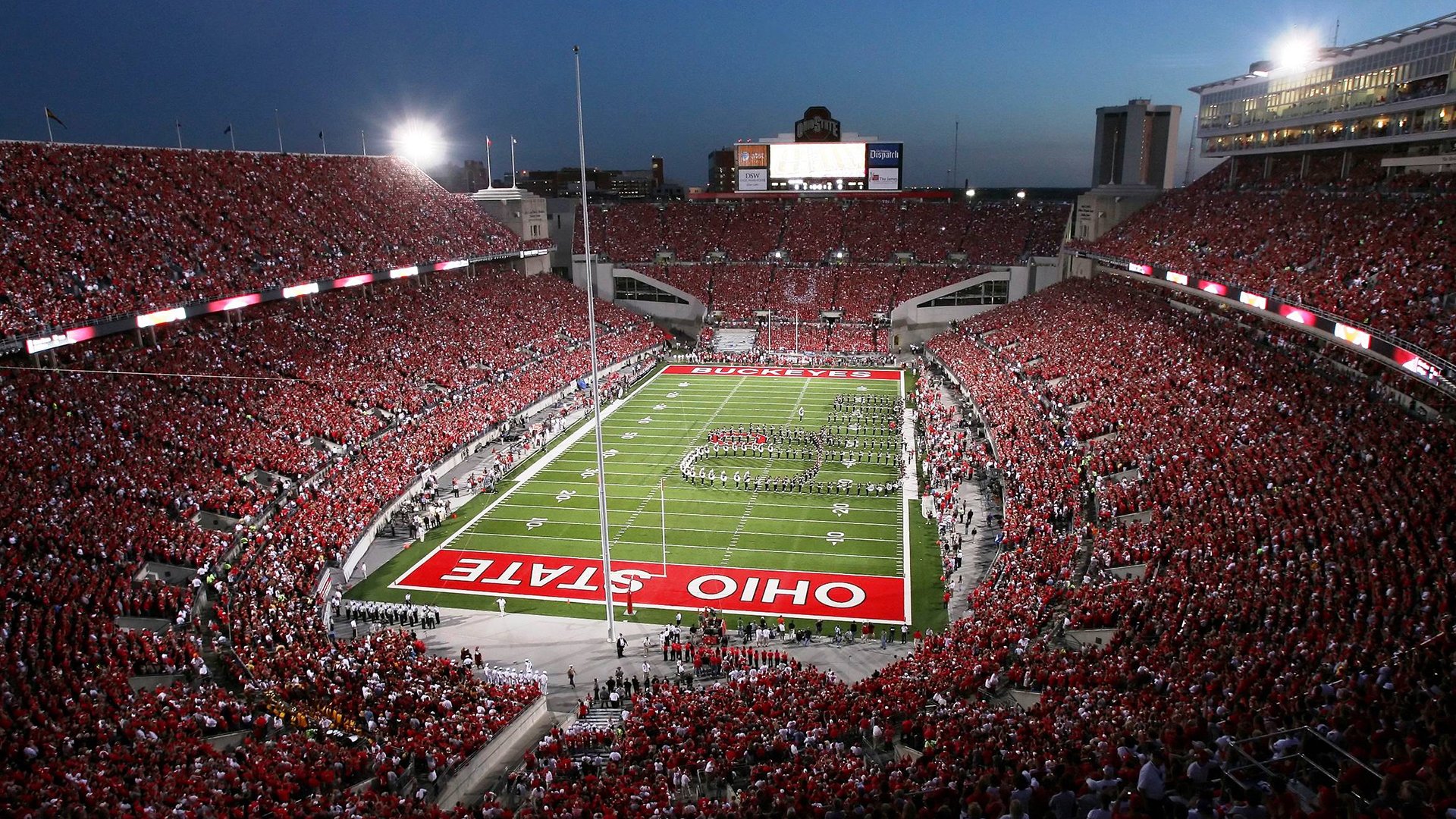 大卫·波波维奇100米自由泳决赛展现爆发力，大卫波茨冲跳一体