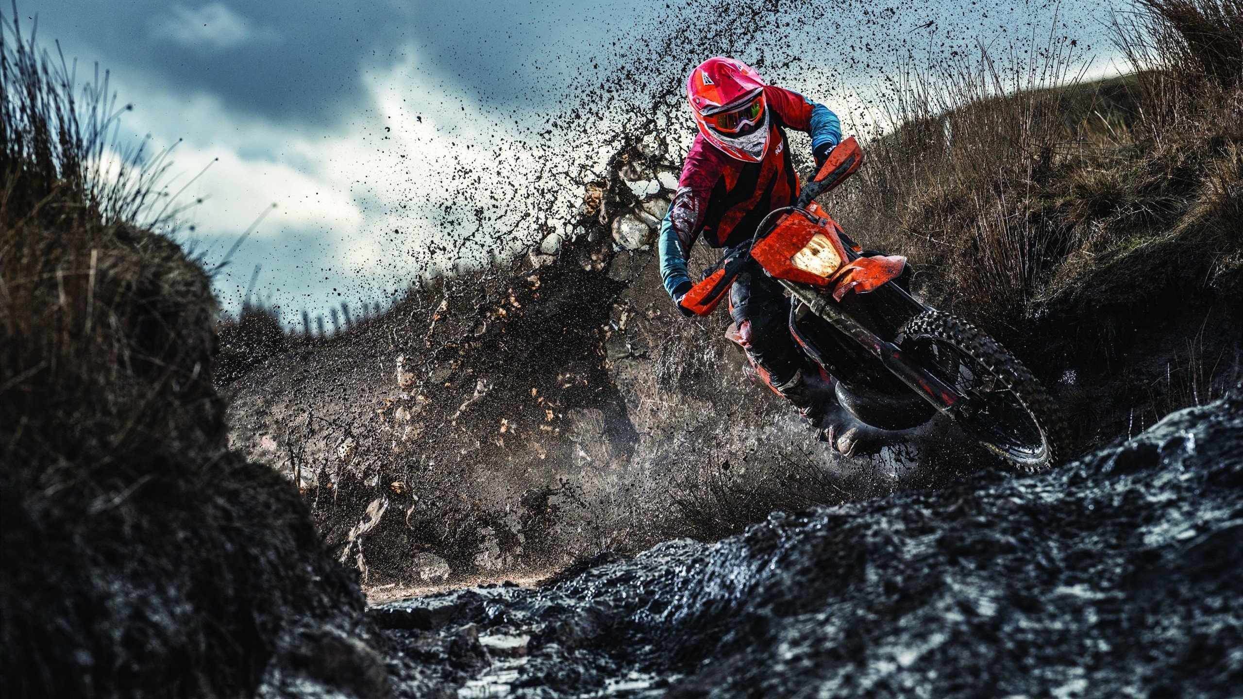 自由泳冲刺波兰展现强劲速度，自由泳冲刺训练